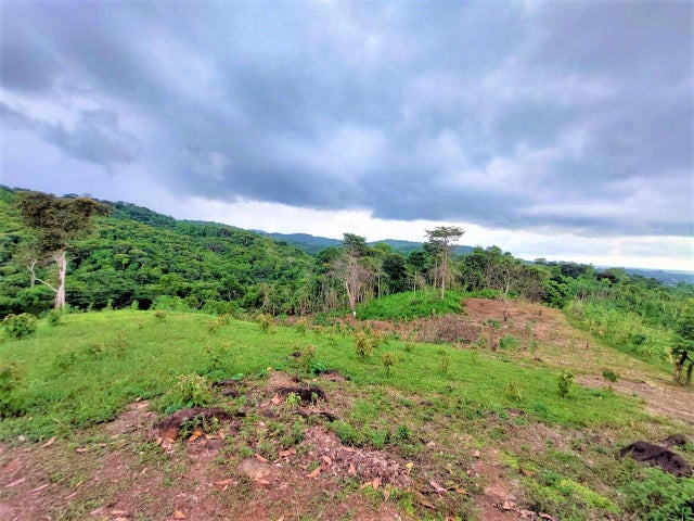 Commercial Property for Sale in Tocumen Panamá Province 07215